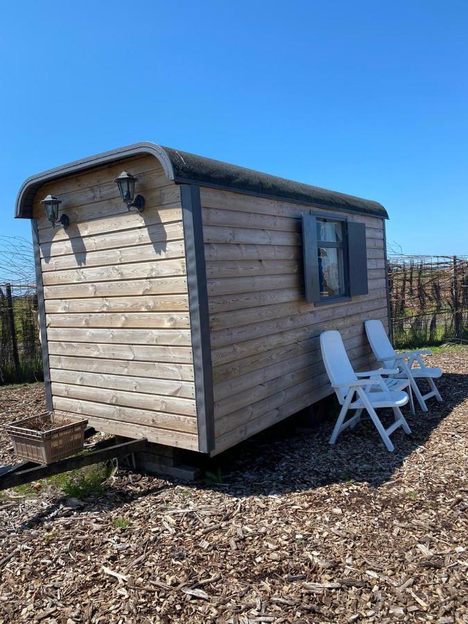 דן הלדר B&B Boerderij Rust, In Pipowagens! מראה חיצוני תמונה